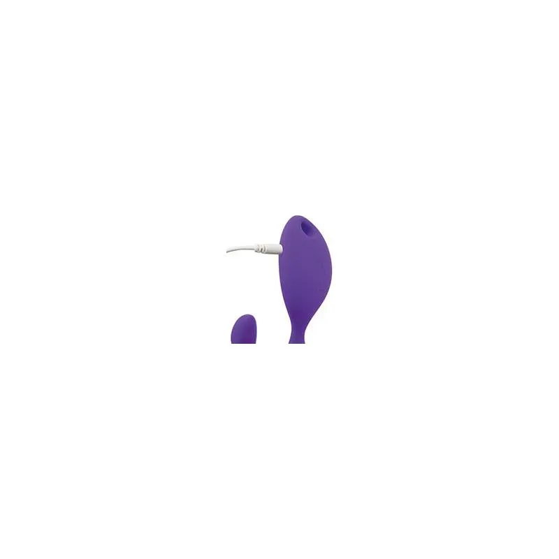 Adrien Lastic Mr.Hook + Control LRS vibrators