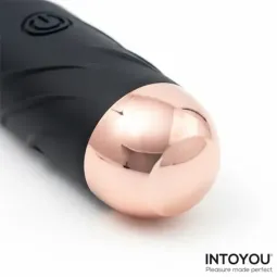 INTOYOU Balmy vibrējošais wand masieris
