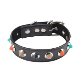 CHISA Collar with Thorns kaklasiksna ar radziņiem
