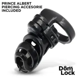 DOMLOCK Detention клетка для пениса Prince Albert