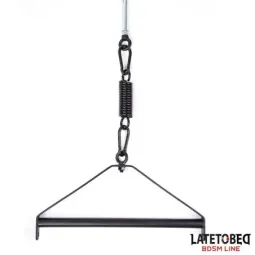 LATETOBED BDSM LINE Ceiling Swing качели