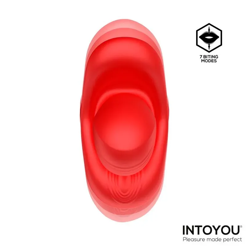 INTOYOU Vyron vibrators ar grūdieniem un kodumu