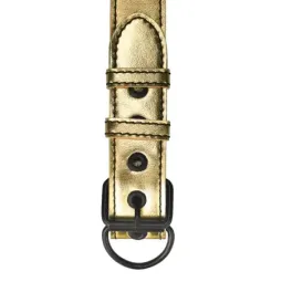 LOVETOY kaklasiksna ar pavadu Bondage Gold