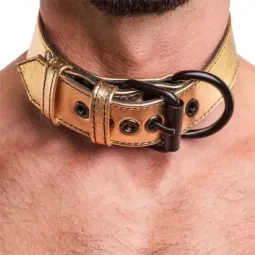 LOVETOY kaklasiksna ar pavadu Bondage Gold
