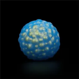 LOVETOY Oceans Toner Kegel Balls вагинальные шарики