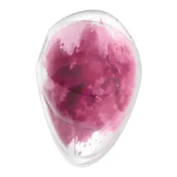 Satisfyer Cloud Dancer klitora stimulators